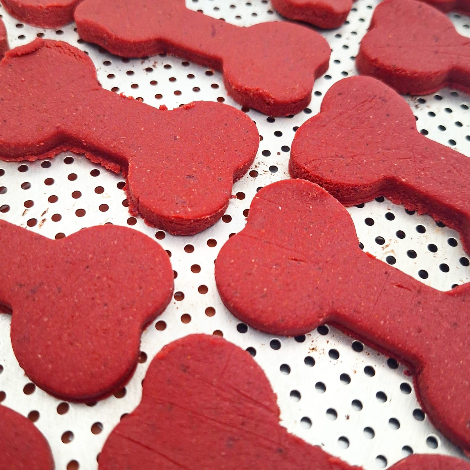 Biscoitos vermelhos em formato de coração para cães