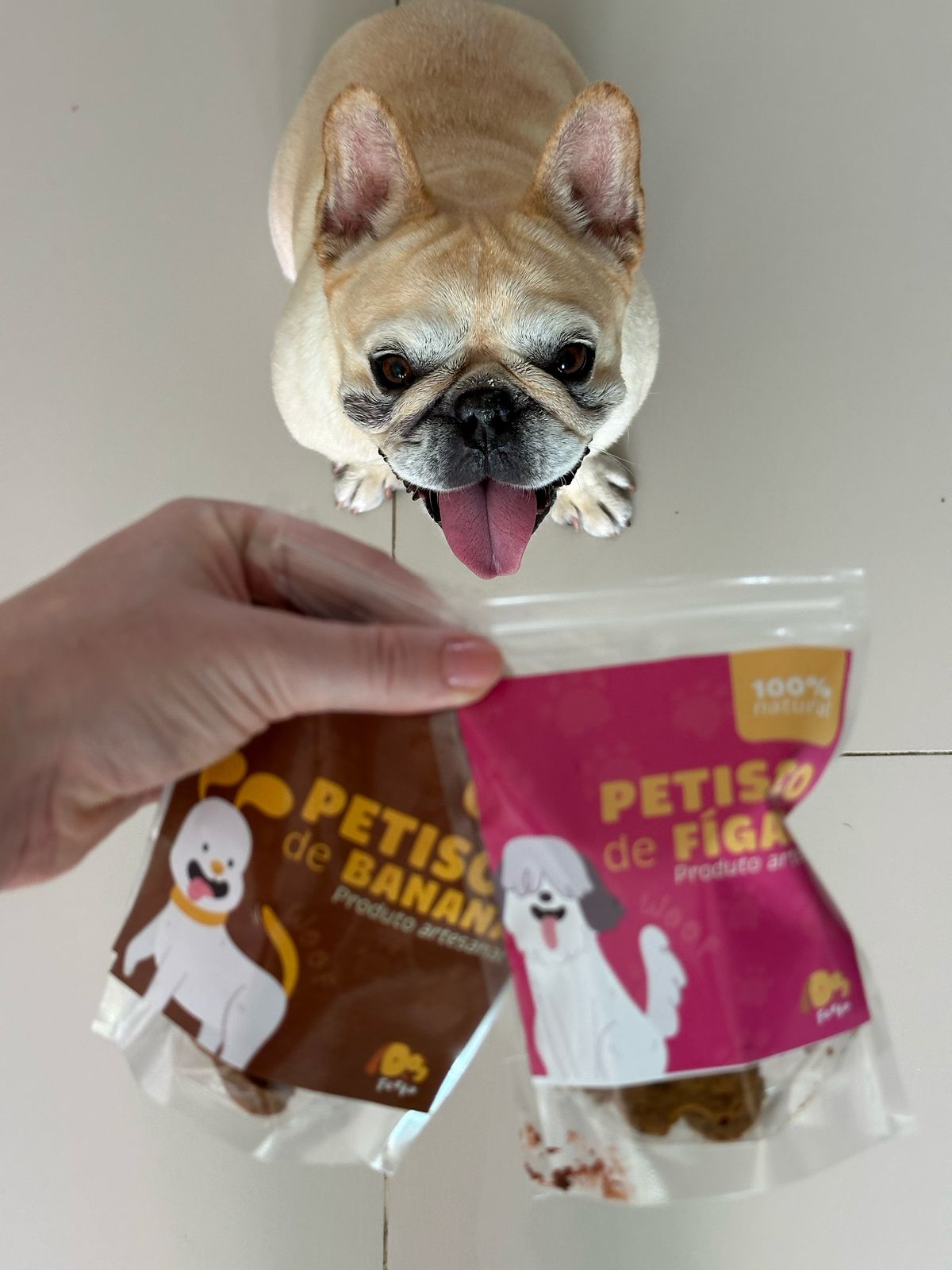 Bulldog francês feliz segurando petiscos de banana e fígado