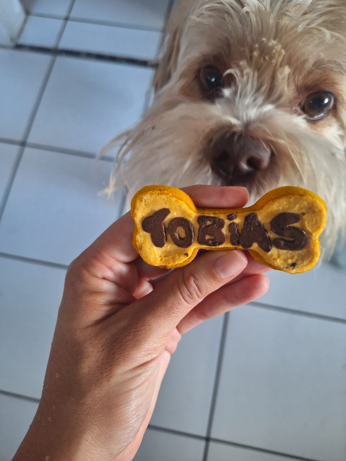 Petisco personalizado em formato de osso com o nome TOBIAS